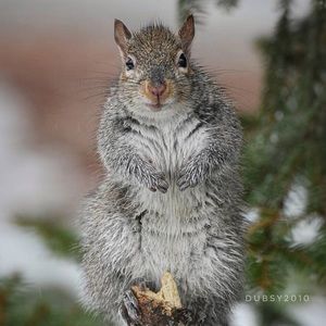 Meet your Posher, Danica